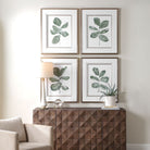 Fiddle Head Leaf Botanical Prints Set of 4 by Uttermost