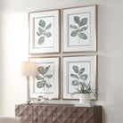 Fiddle Head Leaf Botanical Prints Set of 4 by Uttermost