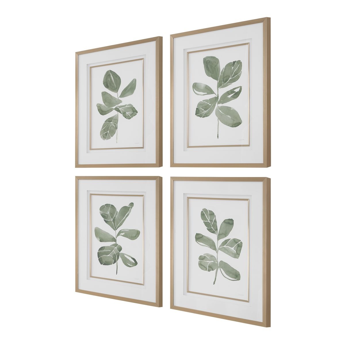 Fiddle Head Leaf Botanical Prints Set of 4 by Uttermost