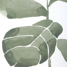 Fiddle Head Leaf Botanical Prints Set of 4 by Uttermost