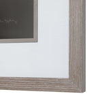 Dandelion Seedhead Framed Print by Uttermost