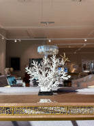 Frenzy Console Table in Sycamore by Theodore Alexander