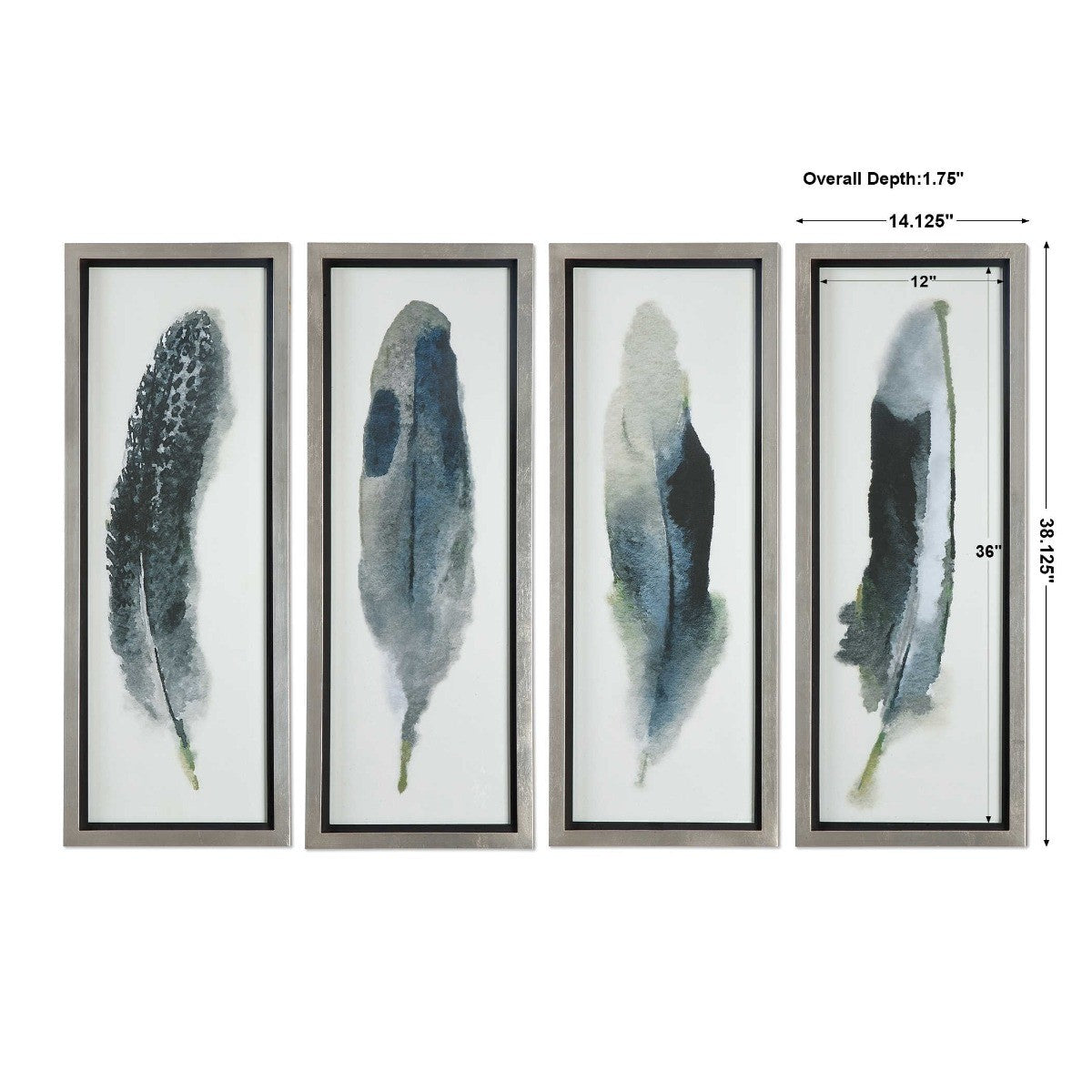 Feathered Beauty Prints - Set of 4 by Uttermost