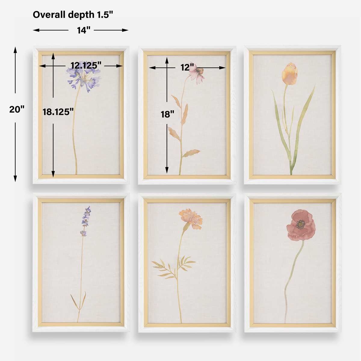 Wild Flourish Framed Prints Set of 6 by Uttermost