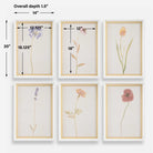 Wild Flourish Framed Prints Set of 6 by Uttermost