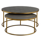 Aragon Nesting Coffee Tables in Grey Set of 2 by Uttermost
