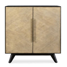 Reina Modern 2 Door Cabinet by Uttermost