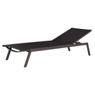 Bea Outdoor Pool Chaise by Uttermost