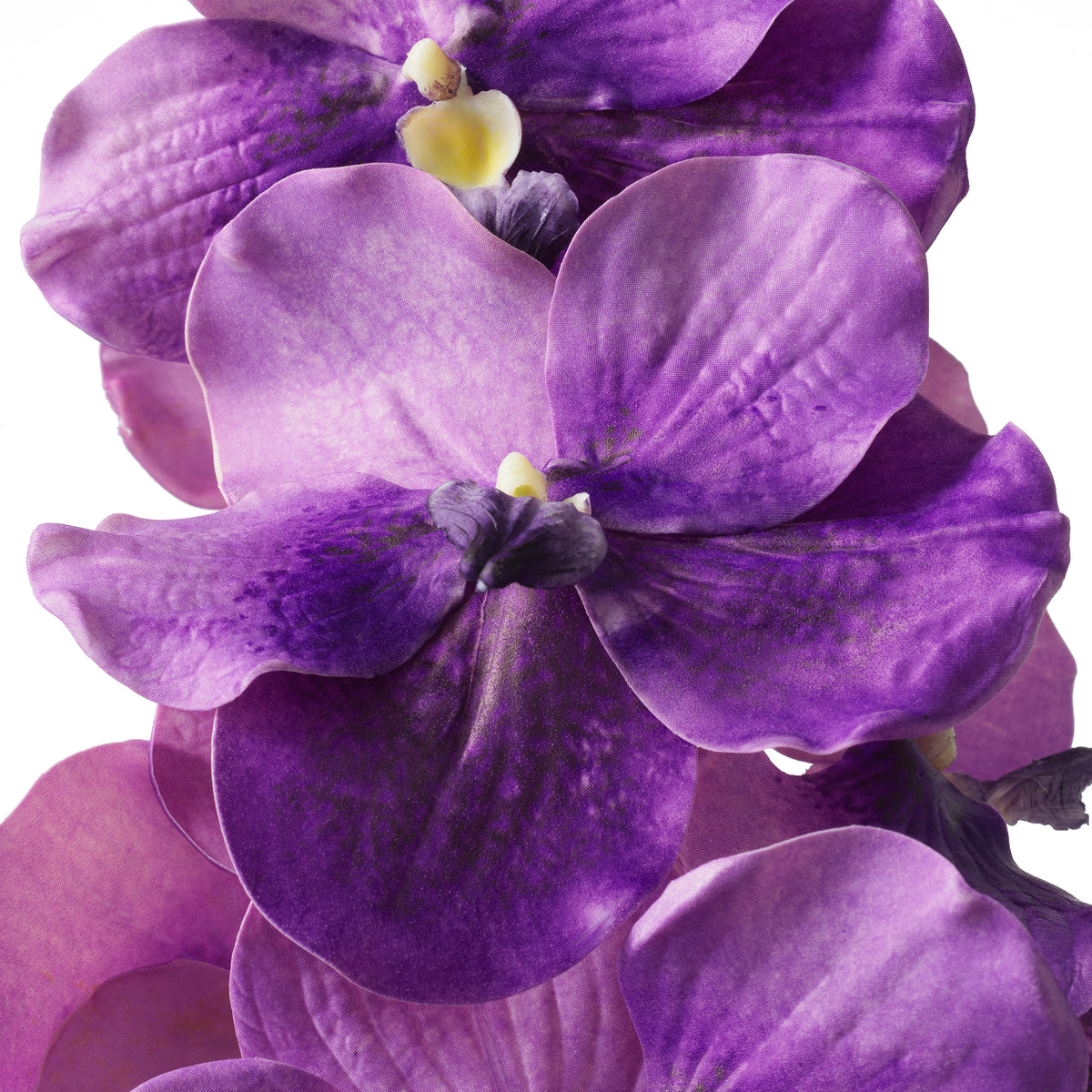 Bouquet Of Vanda Orchids Purple Real Touch 24 Pieces Eichholtz