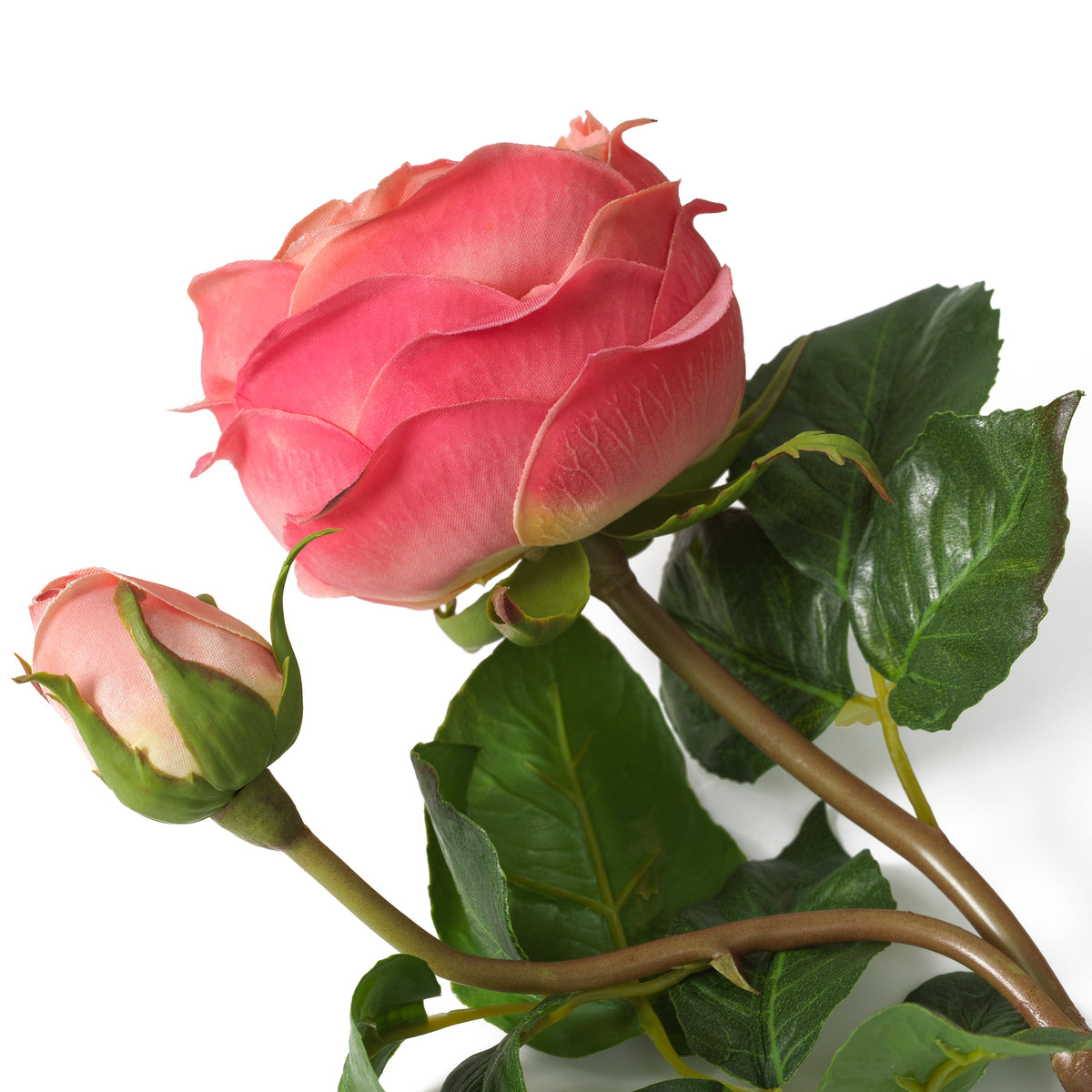 Bouquet Of Roses Real Touch Three Tone Peach 72 Pieces / 3 Varieties Eichholtz