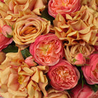 Bouquet Of Roses Real Touch Three Tone Peach 72 Pieces / 3 Varieties Eichholtz