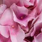 Bouquet Of Hydrangeas Pink Tones Real Touch 48 Pieces / 2 Varieties Eichholtz