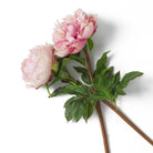 Bouquet Of Peonies Pink Tones Real Touch 48 Pieces / 2 Varieties Eichholtz