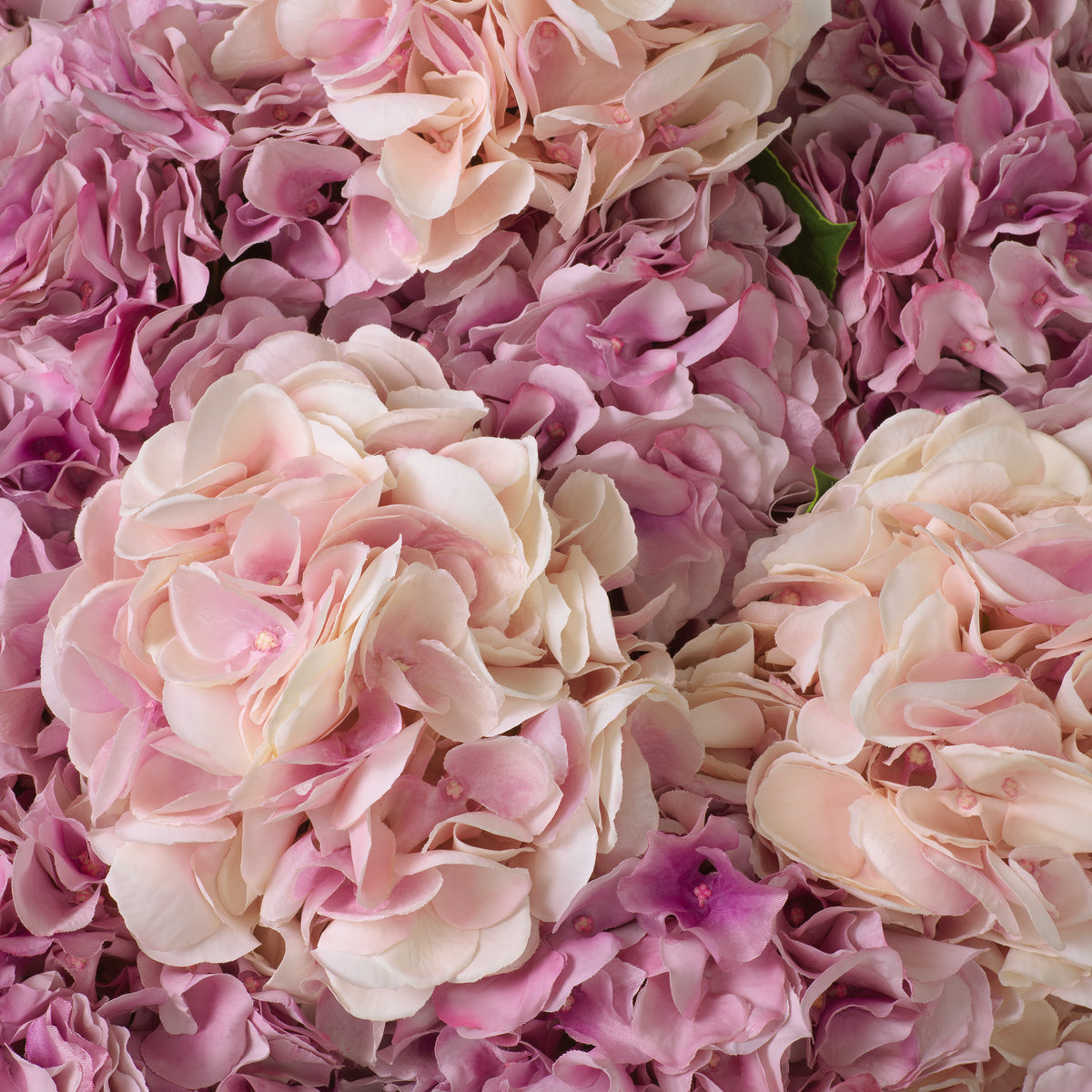 Bouquet Of Hydrangeas Pink Tones Real Touch 48 Pieces / 2 Varieties Eichholtz