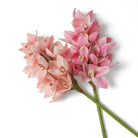 Bouquet Of Cymbidium Orchids Pink And Peach Tones Real Touch 36 Pieces / 2 Varieties Eichholtz