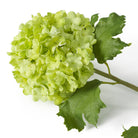 Bouquet Of Hydrangeas Snowball Green Real Touch 36 Pieces Eichholtz