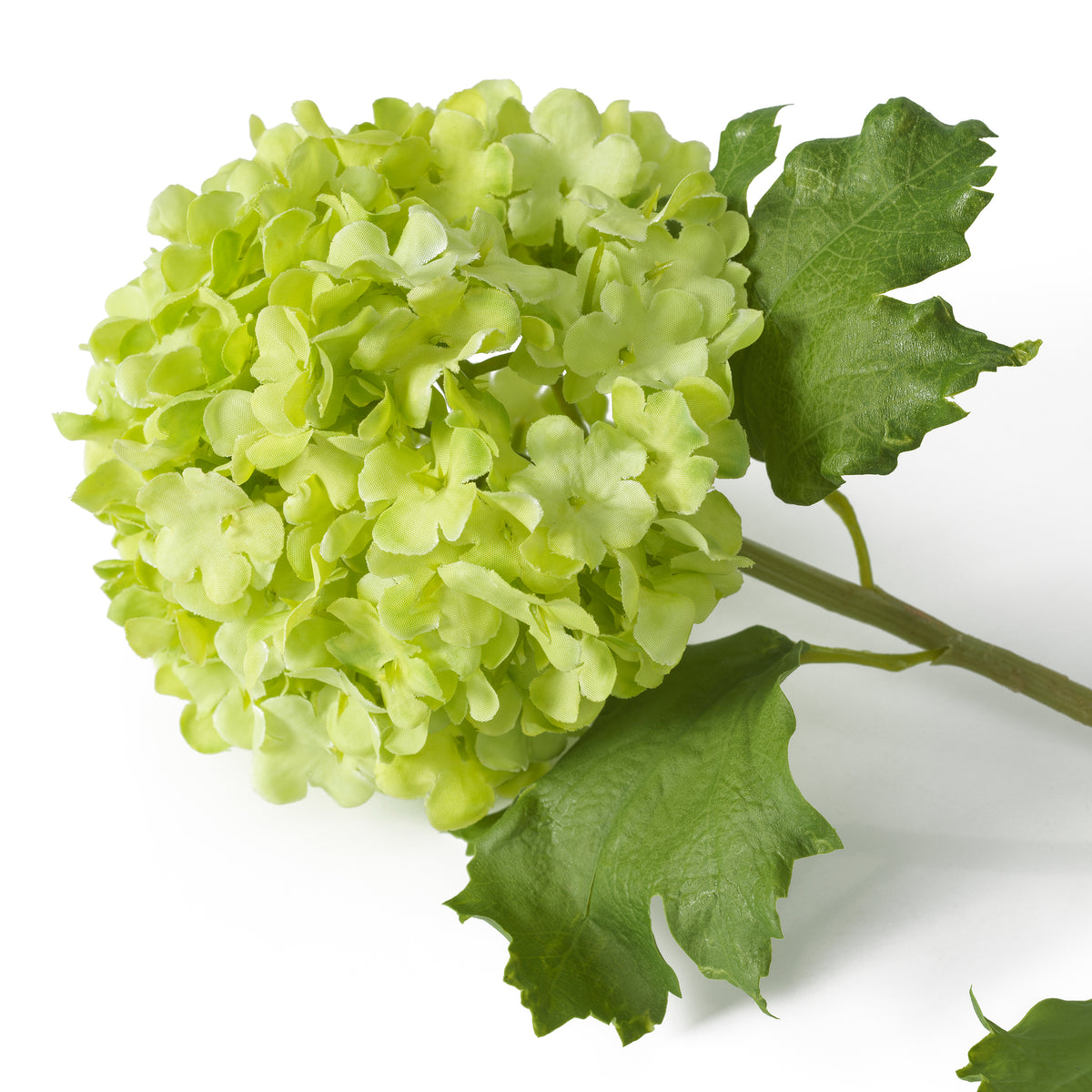 Bouquet Of Hydrangeas Snowball Green Real Touch 36 Pieces Eichholtz