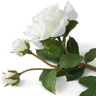 Bouquet Of Roses Two Tone White Real Touch 72 Pieces / 2 Varieties Eichholtz