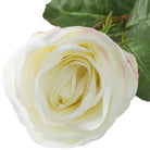 Bouquet Of Roses Two Tone White Real Touch 72 Pieces / 2 Varieties Eichholtz