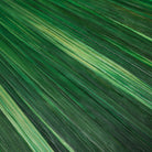 Desk Tray Harvard Small Straw Marquetry Green Eichholtz