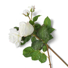 Bouquet Of Roses Two Tone White Real Touch 72 Pieces / 2 Varieties Eichholtz