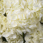 Bouquet Of Hydrangeas White Tones Real Touch 48 Pieces / 2 Varieties Eichholtz