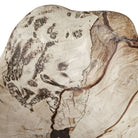 Teo Bleached Wood Wall Decor - Set of 3 by Uttermost