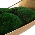 Venice Moss Centrepiece by Uttermost