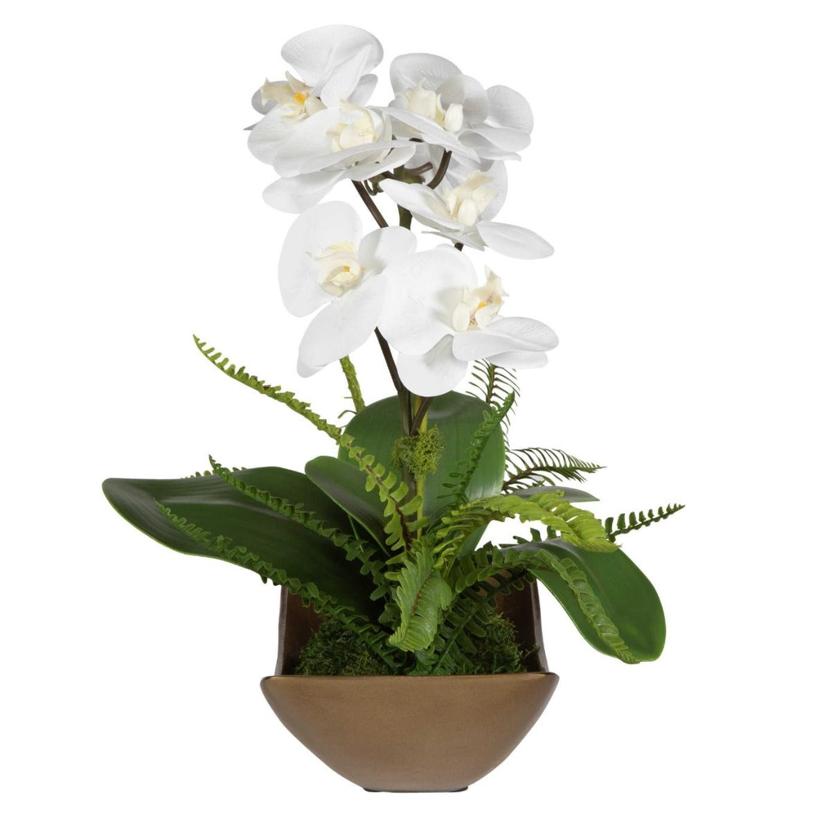 Transcend Orchid by Uttermost