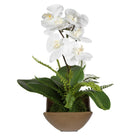 Transcend Orchid by Uttermost