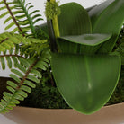 Transcend Orchid by Uttermost