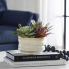 Mesa Succulent Accent by Uttermost