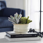Mesa Succulent Accent by Uttermost
