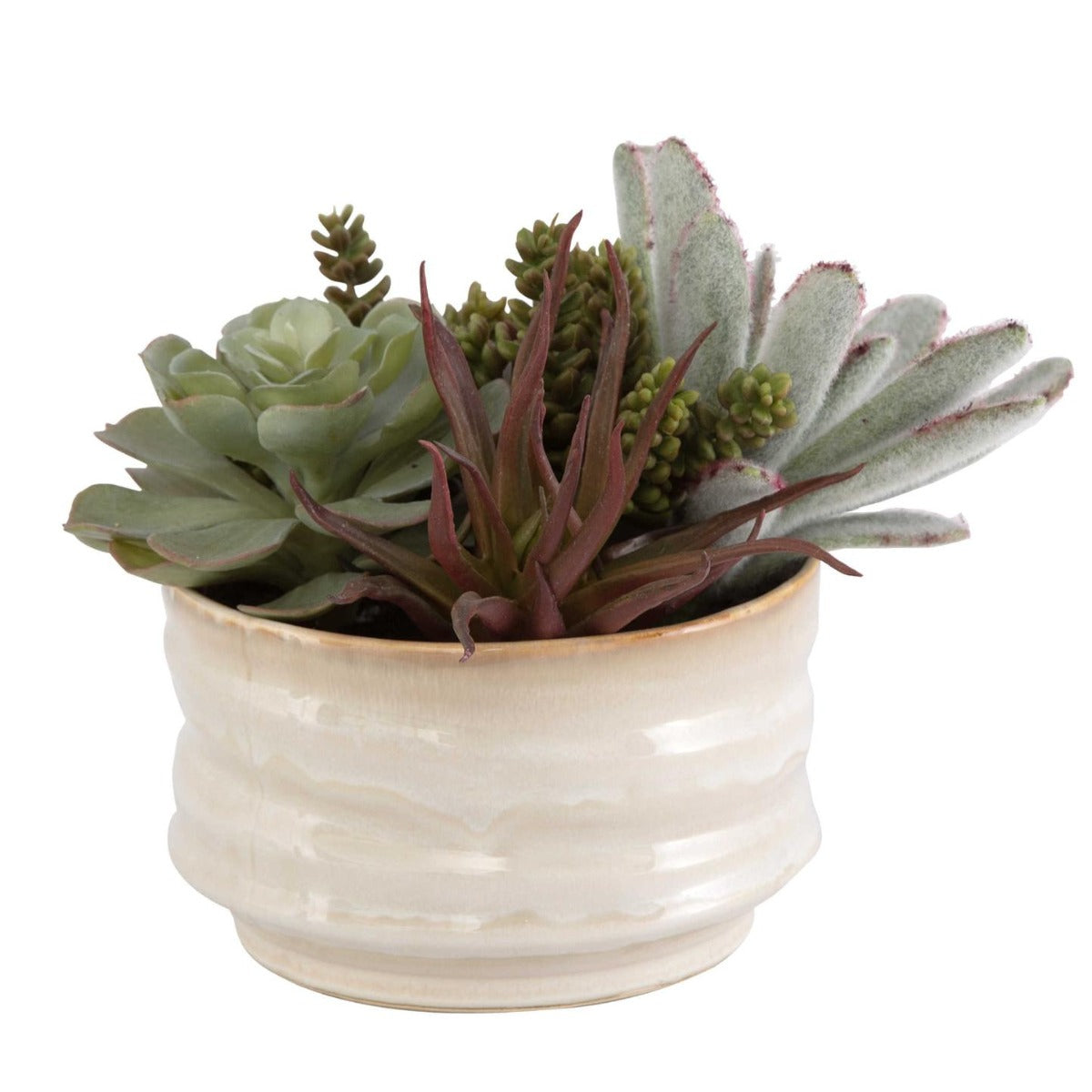 Mesa Succulent Accent by Uttermost