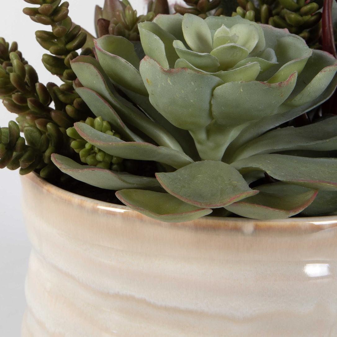 Mesa Succulent Accent by Uttermost