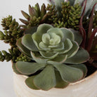 Mesa Succulent Accent by Uttermost