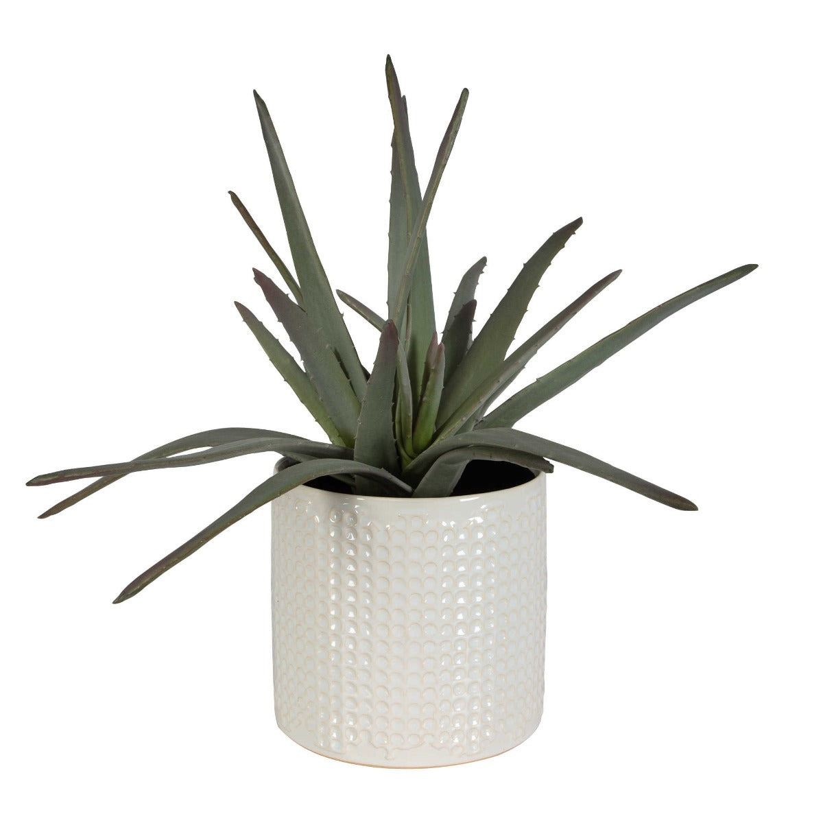 Taos Aloe Centerpiece by Uttermost