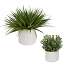Edgewood Greenery - Set of 2 by Uttermost