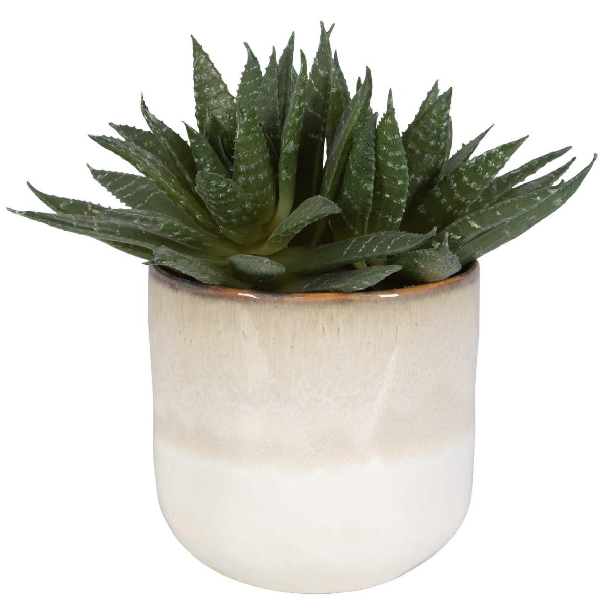 Doha Succulent Accent by Uttermost