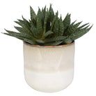 Doha Succulent Accent by Uttermost