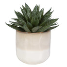 Doha Succulent Accent by Uttermost