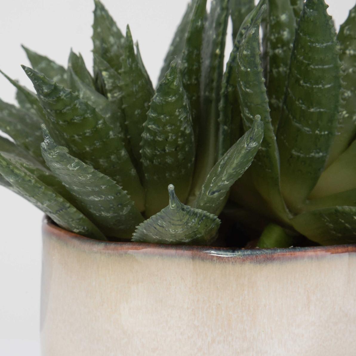 Doha Succulent Accent by Uttermost