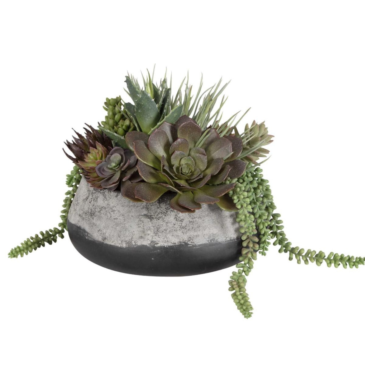 Yuma Succulent Centerpiece by Uttermost