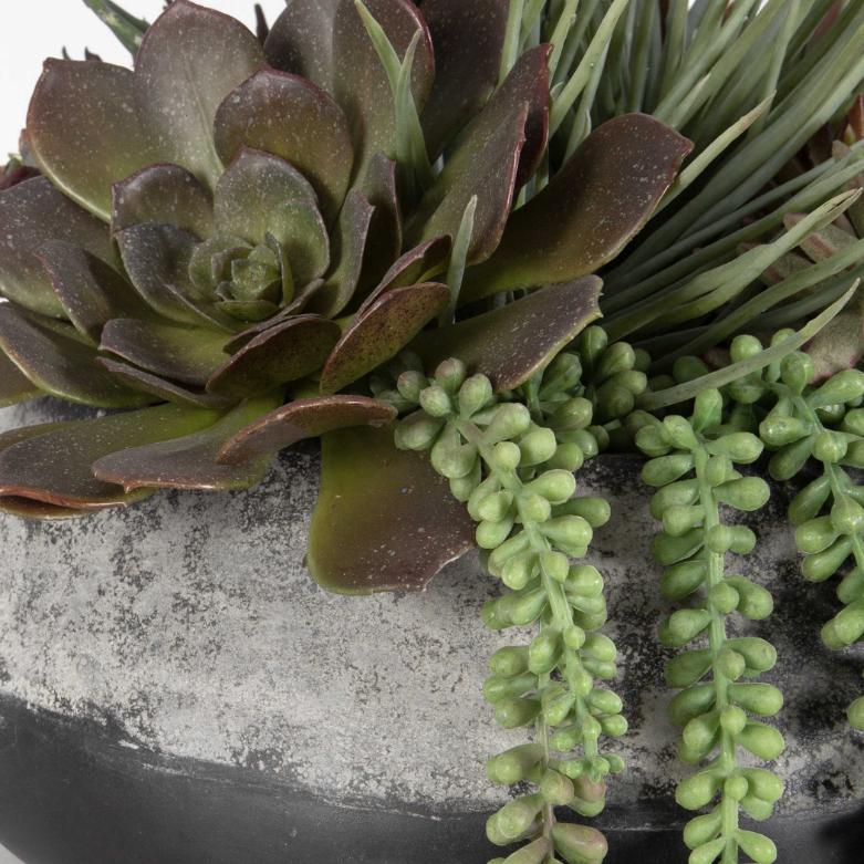 Yuma Succulent Centerpiece by Uttermost