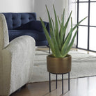Arabia Aloe Planter by Uttermost