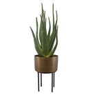 Arabia Aloe Planter by Uttermost