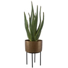 Arabia Aloe Planter by Uttermost