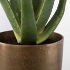 Arabia Aloe Planter by Uttermost