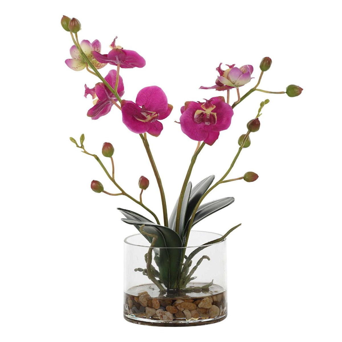 Glory Fuchsia Orchid by Uttermost