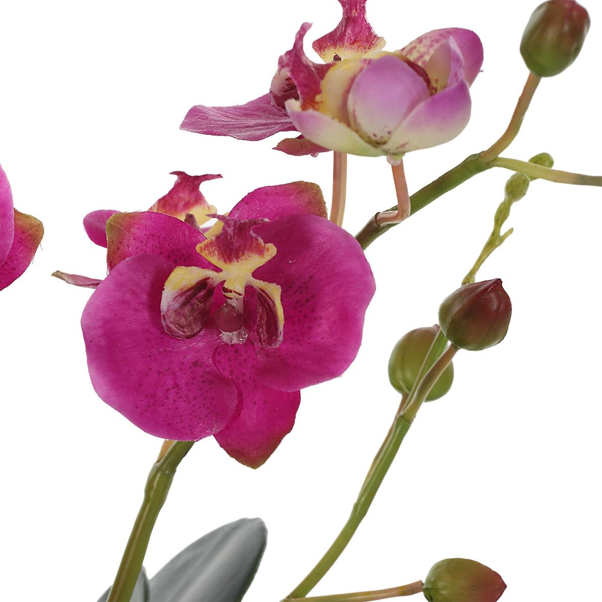 Glory Fuchsia Orchid by Uttermost